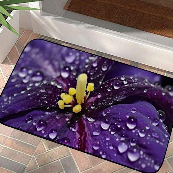 Qinduosi Decorative Door Mat, Door Mat with Non-Slip Rubber Backing, Easy Cleaning, Traps Dirt, for Entry, Patio, Garage- Drop Rain Rain Drops Water Water Drop Water Drops  19.68*39.37 in