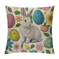 thumbnail image 1 of Qinduosi Easter Pillow Covers Inch Set of , Colorful Bunny Eggs Throw Pillows Farmhouse Rabbit Spring Decor Pillowcase for Sofa Bedroom Living Room Indoor Outdoor, 1 of 5