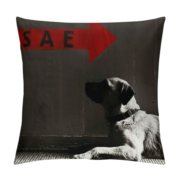 Qinduosi Funny Dog Sit Stay Words Linen Pillow Cover Pillowcase Inches Square Cushion Cover for Sofa/Bed/Chair