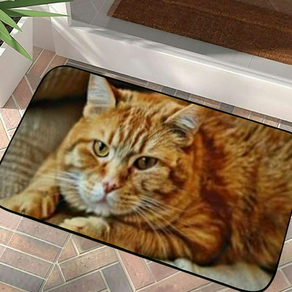 Qinduosi Orange Cat Portrait Doormat, Home Decor, Welcome Mat, Funny Doormat, Front Door Mat, Welcome Doormat,Indoor Doormat,Front Back Door Mat 19.68*39.37 in
