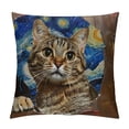 thumbnail image 1 of Qinduosi Pillow Covers Decorative Pillowcases in Cat Starry Night Design, Holiday Farmhouse Throw Pillow Case Hidden Zippered Square Cushion Cover for Sofa Bedroom Home Decor White, 1 of 5