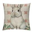 thumbnail image 1 of Qinduosi Pillow Covers Set of Buffalo Plaid Rabbit Eucalyptus Leaves Home Decor for Couch Sofa, 1 of 5
