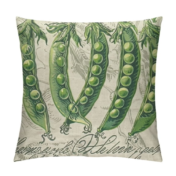 Qinduosi Vintage Throw Pillow Cover Fresh Pillow Case Inch Decorative Men Women Boy Girl Room Cushion Cover for Home Bed White