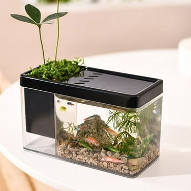 Isvgxsz Multi-Purpose Mini Betta Fish Tank, Desktop Office Small Fish Tank, Plastic Aquarium, Pen Holder Storage Fish Tank - Create Different Desktop Landscape