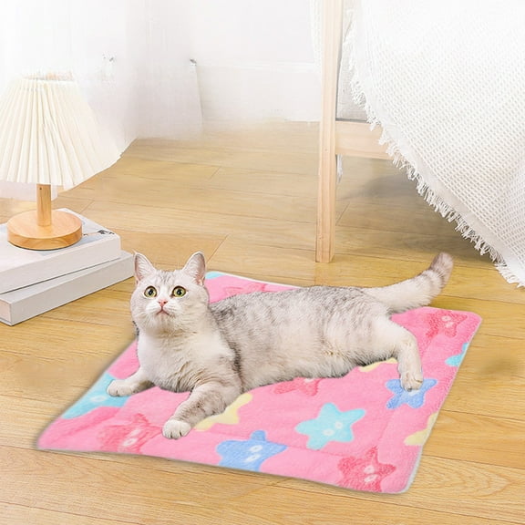 Isvgxsz Pets Cat Bed Dog Crate Pad Ultra Soft Pet Bed with Cute Print Washable Crate Mat for Small Dogs and Indoor Cats Reversible Fleece Dog Kennel Pad Cat Carrier Mat