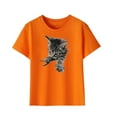 thumbnail image 1 of Qingpeng Cat Print Shirt for Boys Girls Comfortable T-Shirt for Toddler Lightweight Tees for Little Girls, 1 of 5