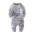 thumbnail image 1 of Qingpeng Toddler Girl Spring Fall Outfits Butterfly Print Long Sleeve Pullover Sweatshirt Tops and Cotton Blend Casual Loose Pants Clothes Set, 1 of 4