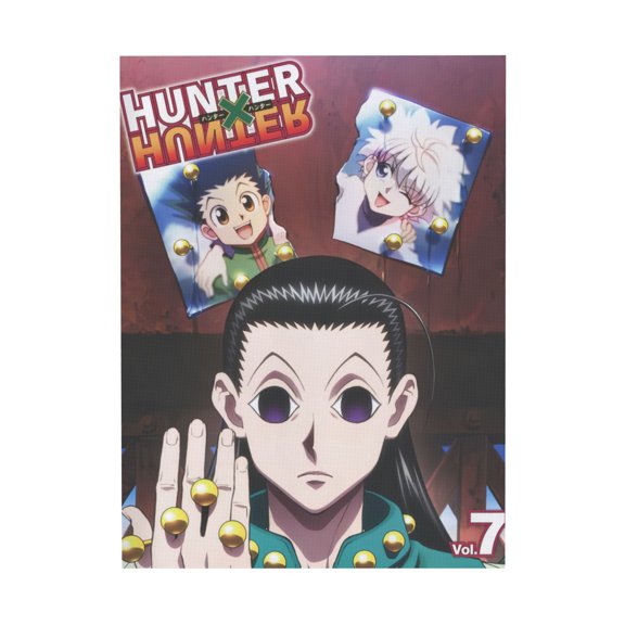 Qingyee Anime Canvas Poster Polyester Multi Size Decorative Poster,HUNTER X HUNTER Poster Anime Paint Decorative Poster Vertical For Wall,Home,Indoor Decoration