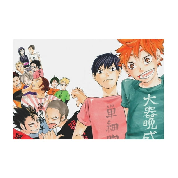 Qingyee Anime Canvas Poster Polyester Multi Size Decorative Poster,Haikyu Poster Anime Paint Decorative Poster