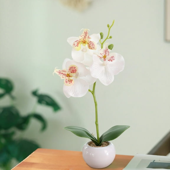 Qiopertar Artificial Phalaenopsis Orchid, Silk Flower Bonsai in Ceramic Pot, Lifelike Fake Flowers Potted Plants for Home Decor Wedding Office Tabletop, White