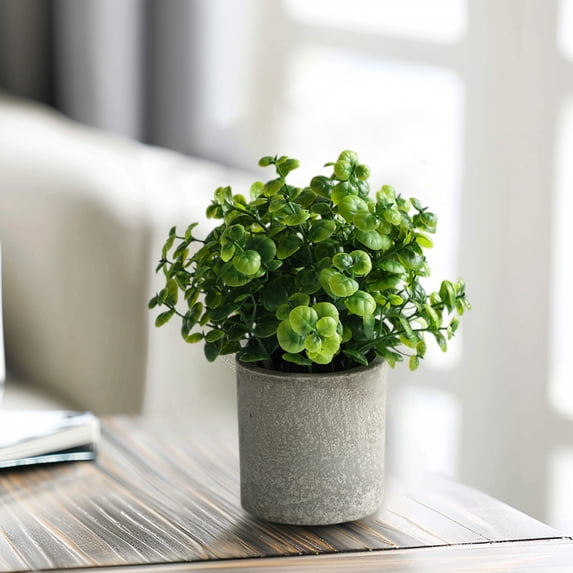 Qiopertar Artificial Potted, Realistic Fake in Pot, Faux Plants for Home Decor, Small Indoor Tabletop Greenery for Desk Office Living Room