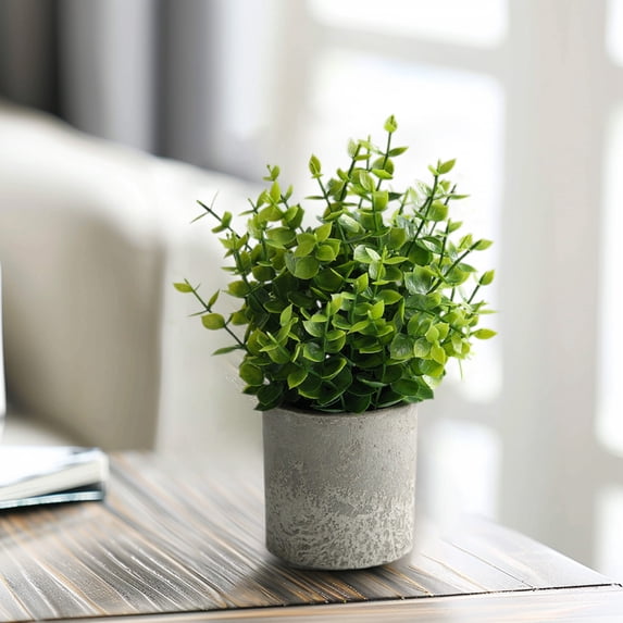 Qiopertar Artificial Potted, Realistic Fake in Pot, Faux Plants for Home Decor, Small Indoor Tabletop Greenery for Desk Office Living Room