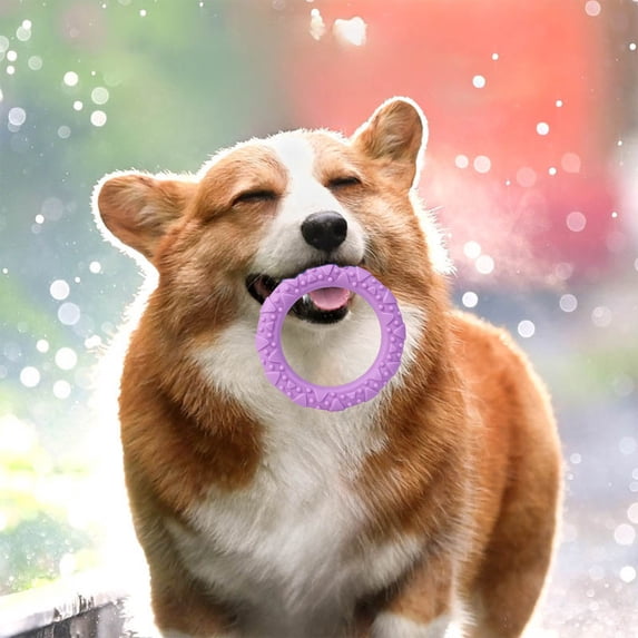 Qiopertar Dog Chew Toys, Interactive Puzzle Ring for Aggressive Chewers, Pet Training Tension Rings, Durable Plastic Teething Toys for Puppies Dogs, Purple