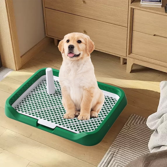 Qiopertar Flat Bottom Dog Toilet, Detachable Washable Pet Potty for Small Medium Dogs, Easy Clean Urine Tray with Splash Guard for Indoor Bathroom Balcony Use, Green