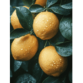 thumbnail image 1 of Qisvanset 12x16 Inch Framed Canvas Wall Art Lemon Style Fruit Of The Spirit Kitchen Nursery Faith Verse Wall Art, 1 of 8