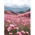 thumbnail image 1 of Qisvanset 12x16 Inch Framed Canvas Wall Art Spring Cherry Blossom Meadow Pastel Mountain Nature Wall Art, 1 of 8