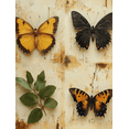 thumbnail image 1 of Qisvanset 12x16 Inch Framed Canvas Wall Art Vintage Botanical Butterfly Green Leaf Rustic Farmhouse Wall Decor Set, 1 of 8