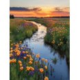 thumbnail image 1 of Qisvanset 12x16 Inch With Frame 2D Flat Wall Art Serene Wildflower Panoramic Landscape Home Wall Art, 1 of 8