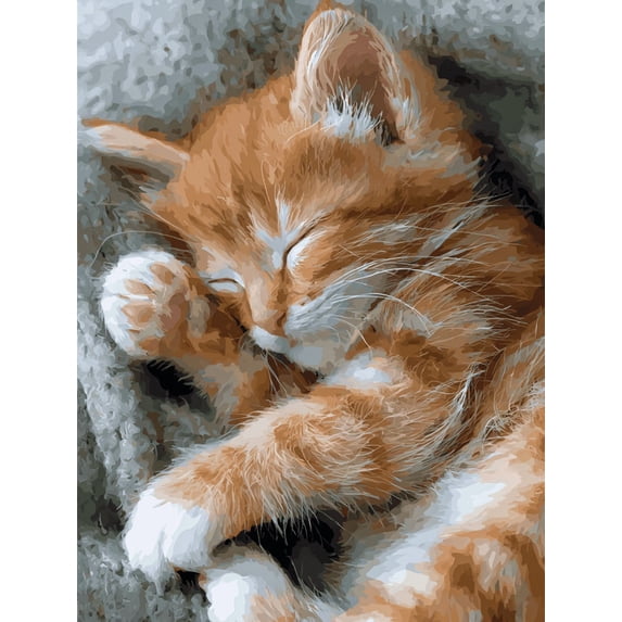 Qisvanset Cute Ginger Kitten Sleeping Canvas Wall Art 15.75x11.81 Inches