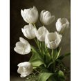 thumbnail image 1 of Qisvanset White Tulips Oil Painting Canvas Wall Art 15.75x11.81 INCHES, 1 of 8