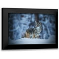 thumbnail image 1 of Qiu, Jenny 14x11 Black Modern Framed Museum Art Print Titled - Coyote In Winter, 1 of 5