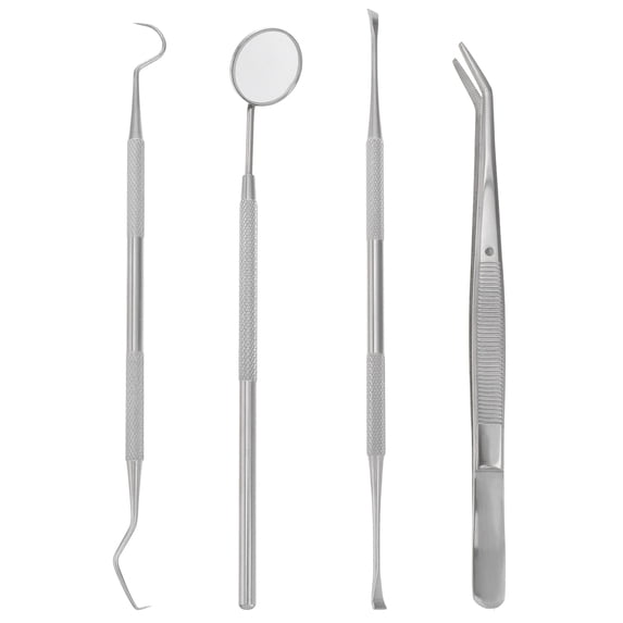 Qiushaoyue 1 Set of 4pcs Oral Cleaning Tools Stainless Steel Teeth Scaler Probe Oral Care Kit