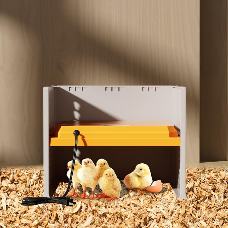 Qivine Chicken Brooder Box for Chicks, Adjustable Chick Brooder Heating ...