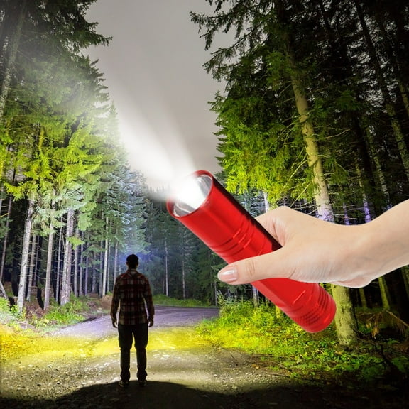 Qiweii Aluminum Alloy Mini LED Flashlight with Built In Battery,Type C Fast Charging Torch for Outdoor Camping and Home Emergency