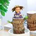 thumbnail image 1 of Qiweii Hydroponic Brazilian Lucky Wood Potted Plant with Monk Figurine，Greenery Ornament for Home Desktop and Living Room Decor，Home Gardening Accessory, 1 of 4