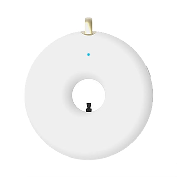 Qiweii Portable Mini Air Purifier with Lanyard Negative Ion Generator for Travel