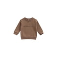 thumbnail image 1 of Qiylii Boys Dinosaur Pattern Sweatshirt, Long Sleeve Round Neck Pullover Tops, 1 of 8