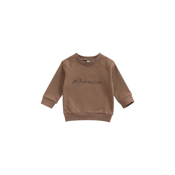 Qiylii Boys Dinosaur Pattern Sweatshirt, Long Sleeve Round Neck Pullover Tops