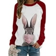 thumbnail image 1 of Qiylii Women's Cute Rabbit Print Stitching Sweatshirt Long Raglan Sleeve Pullover Tops Lightweight Bunny Graphic Easter Gift T Shirt, 1 of 2