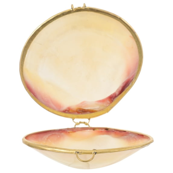 WRITWAA Writwaa Small White Shell Trinket Box for Jewelry and Rings Storage