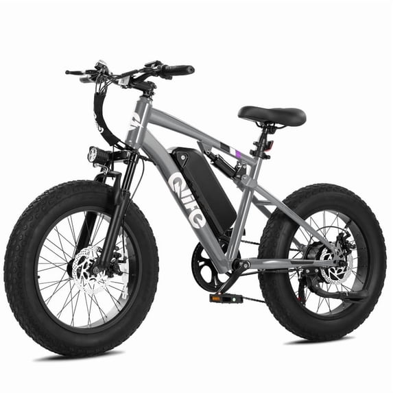 Qlife Racer Fat Tire 2.0 Electric Bike For Adults, Max 28MPH Mountain Ebike with 750W Motor, 20x4.0" Tire Step Over E-MTB, 48V 15.6Ah Removable Battery,Gray