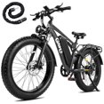thumbnail image 1 of Qlife Racer Plus Electric Bike for Adults Peak 1500W Motor Up to 36MPH, 4.0 Fat Tire Mountain Bicycle with 48V 15.6AH 7 Speed Full Suspension Ebike(Gray)with Lock, 1 of 6