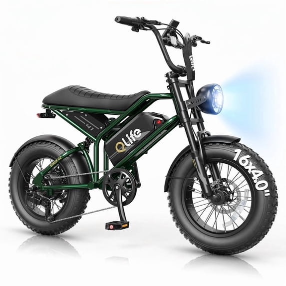 Qlife Spark D1 16x4.0" Electric Bike for Adults,500W up to 20MPH Fat Tires EBike,48V 13Ah Removable Battery E Bicycle,Full Suspension,Green