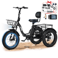 thumbnail image 1 of Qlife Triker Plus Electric Bike, 500W Brushless Motor Electric Tricycle for Adults, 48V 13Ah, Max 20MPH Up to 65 Miles ，20x4.0 Fat Tire E-Bike（black）, 1 of 8
