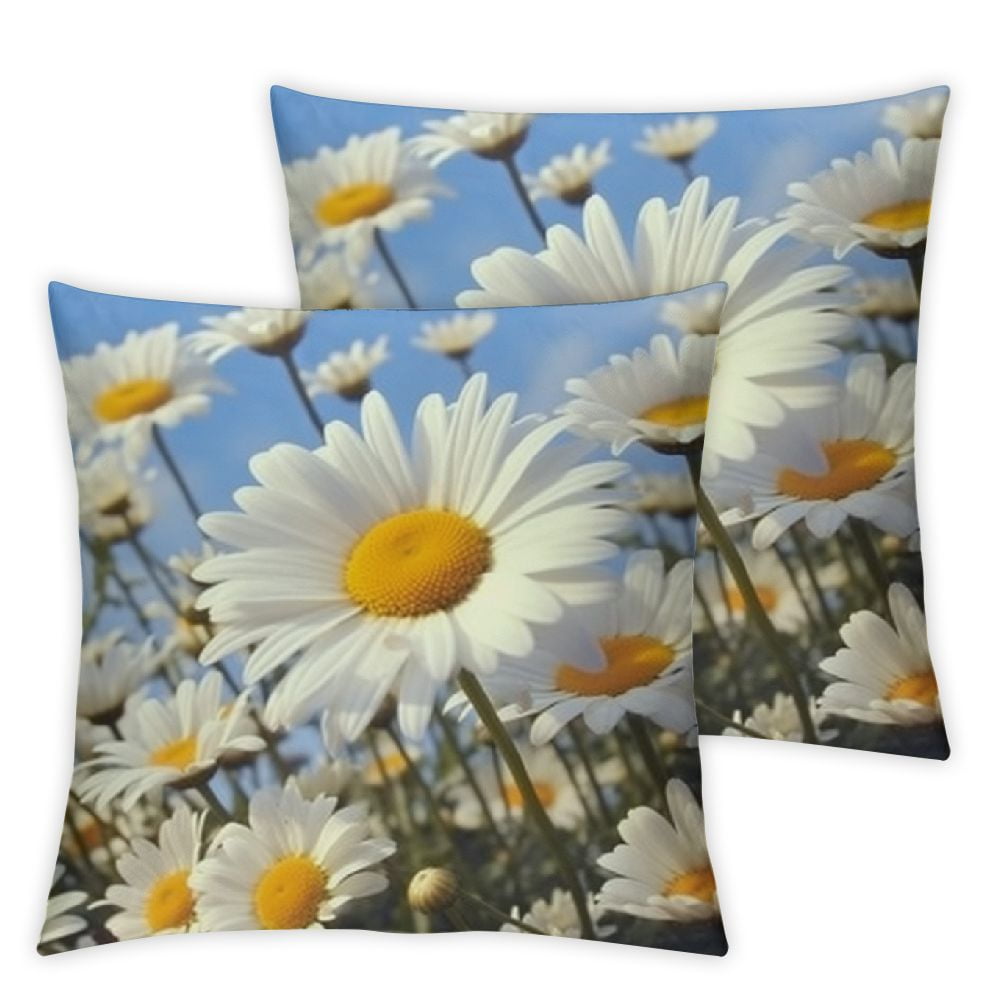 Qlo0ole Decorative Throw Pillow Covers Double Sided Throw Pillow Cases