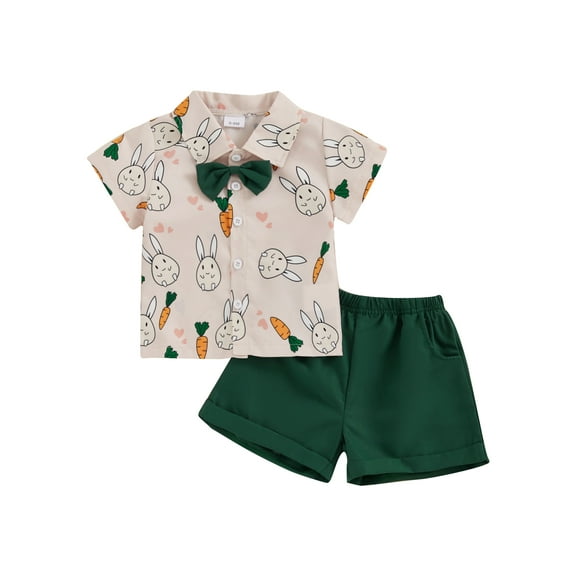 Qmyliery Toddler Boys Easter Shorts Sets Short Sleeve Bunny Carrot Print Tops and Solid Color Shorts Sets 6 9 12 18 24 Months 3 Years