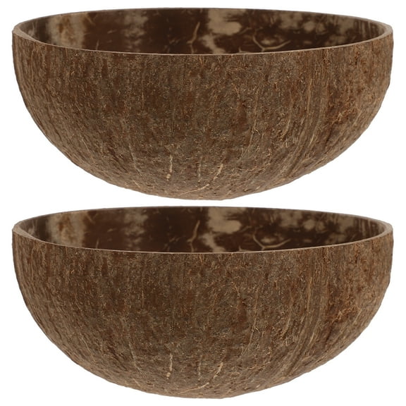 Qnmwood 2pcs Handmade Hawaii Shell Bowls for Home Decor & Parties