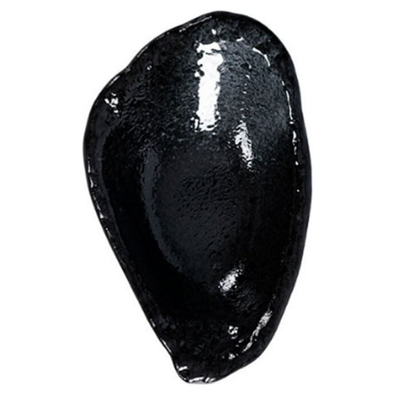 Qnmwood Japanese Ceramic Soy Sauce Dish for Dipping Sauces and Seasonings