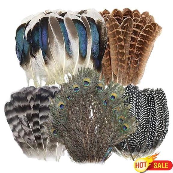 Qocolcyl 50pcs Natural Feathers Bulk - 5 Styles Assorted Peacock Pheasant Guinea Fowl Duck Plumes Feathers for Craft DIY Jewelry Hat Wedding Home Party Decoration