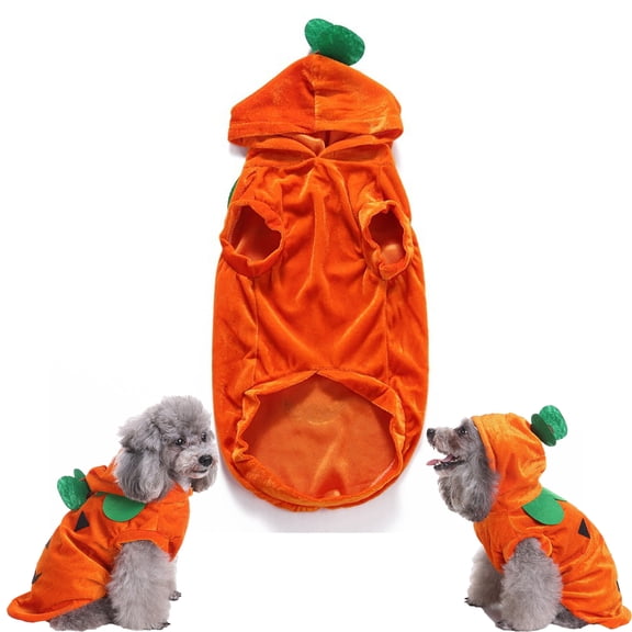 Qocolcyl Pumpkin Dog Halloween Costume,Soft Velvet Hooded Jack O Lantern Outfit for Small Dogs Cats Under 7.7 Lbs,Halloween Thanksgiving Decorations,Indoor Outdoor Harvest Party Pet Cosplay Supplies