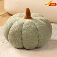 thumbnail image 1 of Qocolcyl Simulated Pumpkin Plush Pillow 3D Cushion Fall Decorations Stuffed Throw Pillows Toy for Fall Halloween Thanksgiving Bedroom Sofa Couch Supplies (Green), 1 of 7