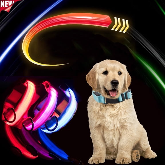 Qocolcyl USB Rechargeable LED Light Up Dog Collar, 3 Modes High Visibility Illuminated Collar, Adjustable Waterproof Glowing Safety Collar For Night Walking Small Medium Large Dogs 3 Colors Available