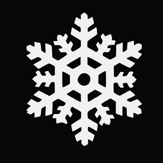 Qocolhg 5 Pcs Christmas Snowflakes Ornaments, Five Size Non-woven Fabric Snowflake Outdoor Decor Christmas Hanging Snowflake Ornaments for Window Decor Snowflakes Winter Indoor Decorations