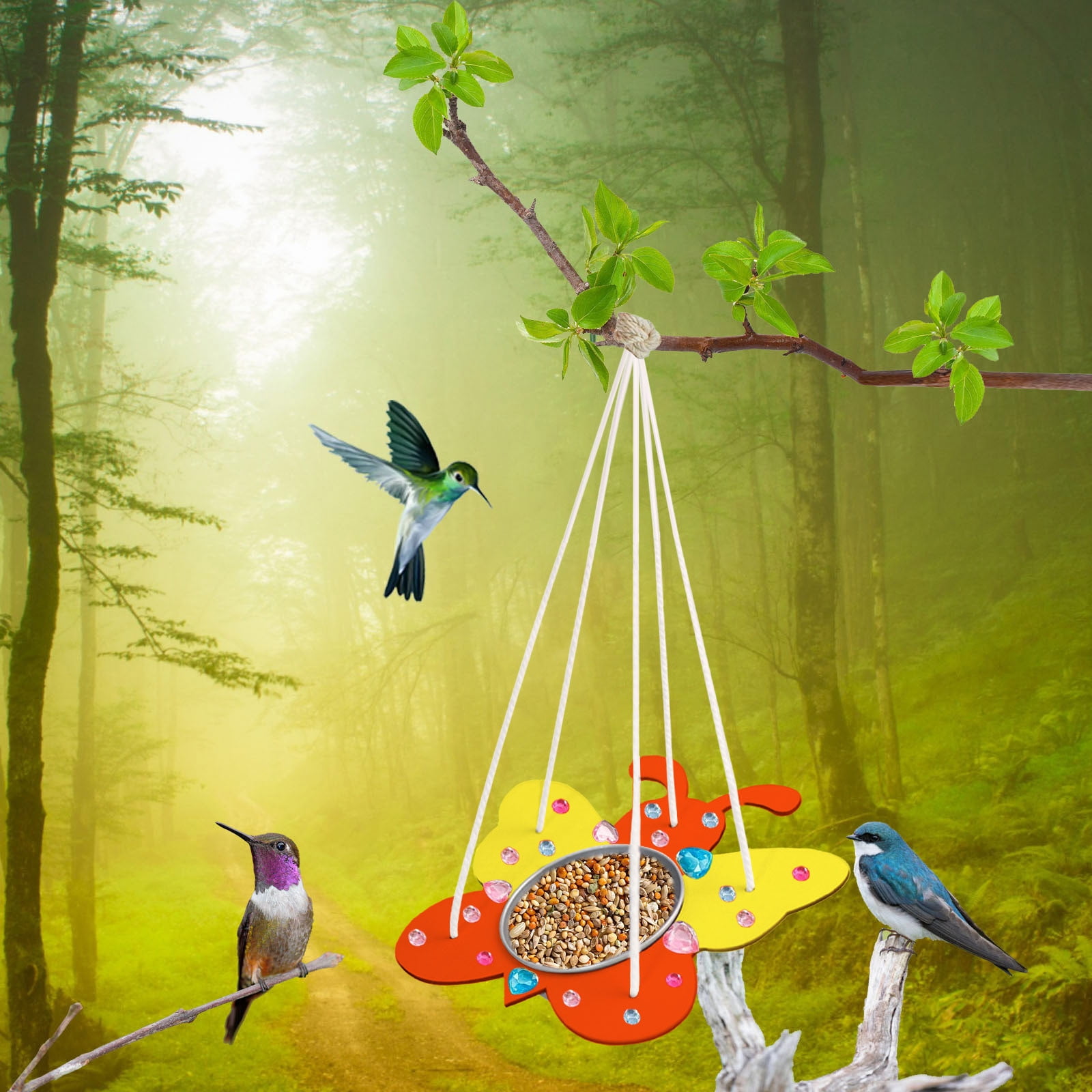 Qocolhg Bird Feeder Kits for Kids Make Your Own Bird Feeders Wooden Art and Craft for Girls Boys ...