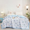 thumbnail image 1 of Qocolhg Cute Summer Quilt Bedding Modern Air Conditioner Quilt for Kids, Cotton Breathable Comforter Print Floral Quilts Bedspread, Cooling Blankets for Hot Sleepers, 39x59 inch, Blue, 1 of 6