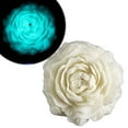 thumbnail image 1 of Qonioi Body Safe Soy Candles, Low Temperature Glow in The Dark Scented Candles for Massage, Wax Play Candles, Romantic Candles, 1 of 5